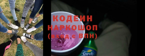 хмурый Арсеньев