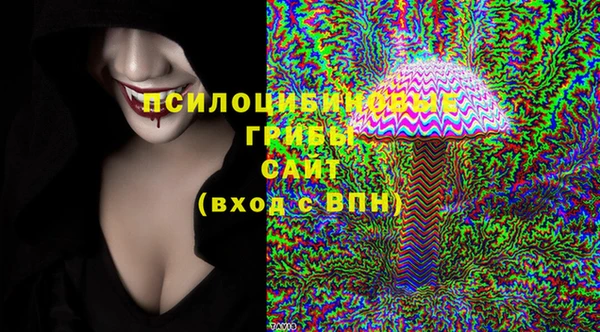 каннабис Аркадак