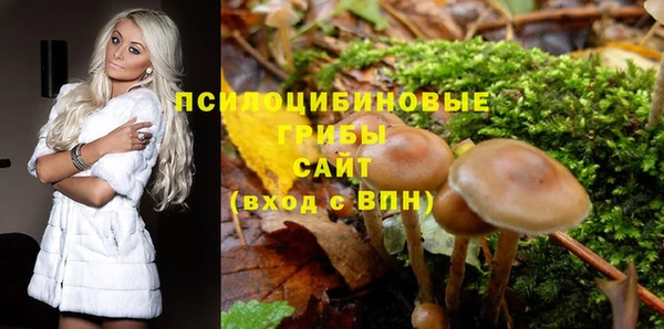 тгк Алзамай