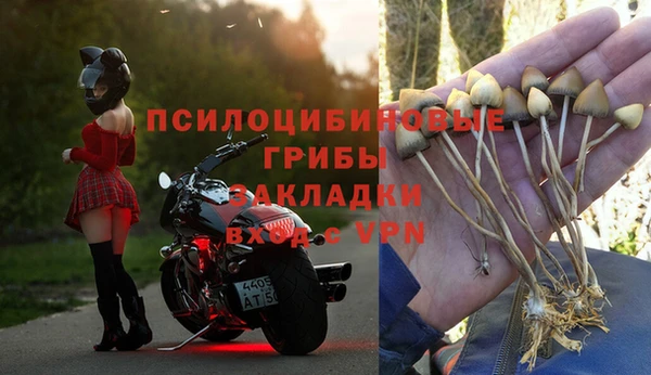тгк Алзамай