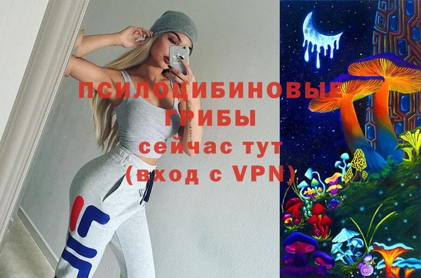 2c-b Абдулино