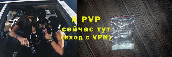хмурый Арсеньев
